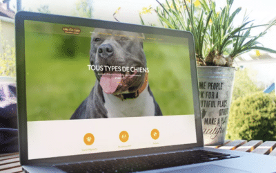 Graphisme, site internet & impression textile, personnalisation sur mesure