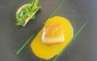 Menus et fournitures pour restauration